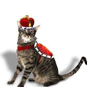 Royal Red Kung Cat 2 Piece Costume